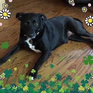 Meet your Posher, Laurette